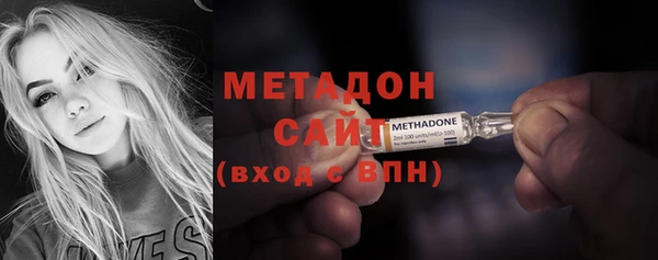 прущие грибы Вязники