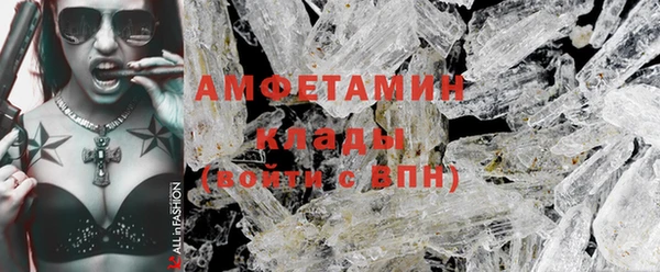 прущие грибы Вязники