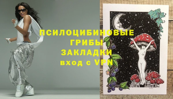 прущие грибы Вязники